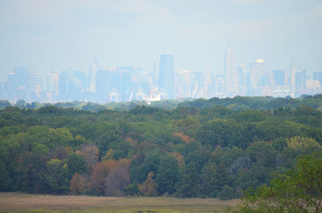 Midtown Manhattan and Jersey City as seen from the North Park area<br/>